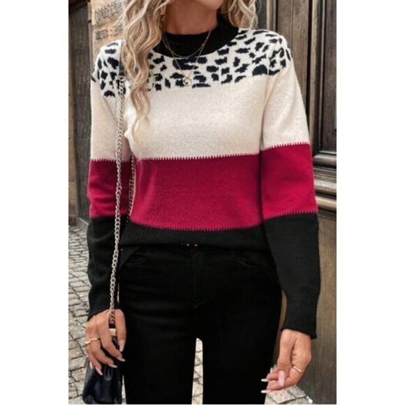 Casual Leopard Print Multicolor Pullovers - Picture 3 of 5